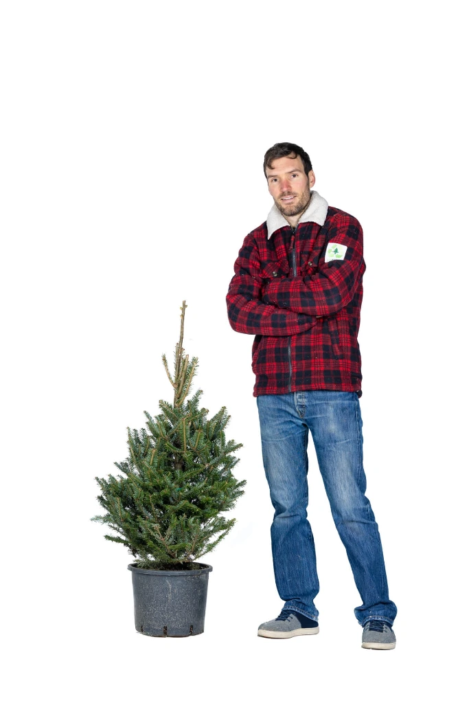 Ecosapin en pot 90-110 cm (1er choix)